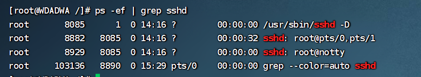 2953321-20240806190810836-1347996158.png