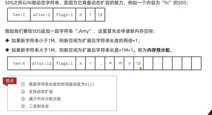 2953321-20240823172821676-1187866869.png